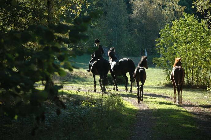 3 rum gård med jordbruk på Givetorp 6 Väderstad, Ödeshögs kommun - bild 3