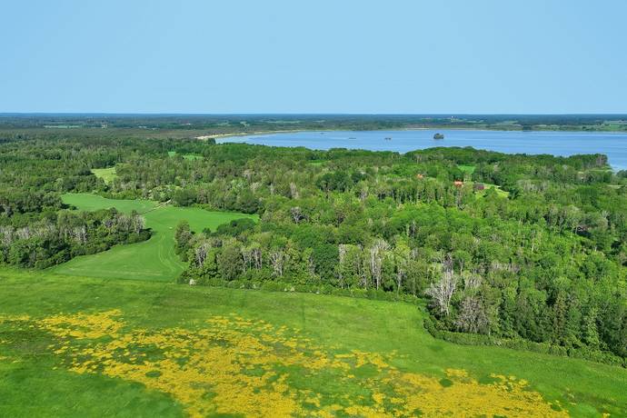 10 rum Gård/skog på Harbonäs säteri Heby- Uppland Heby kommun - bild 24