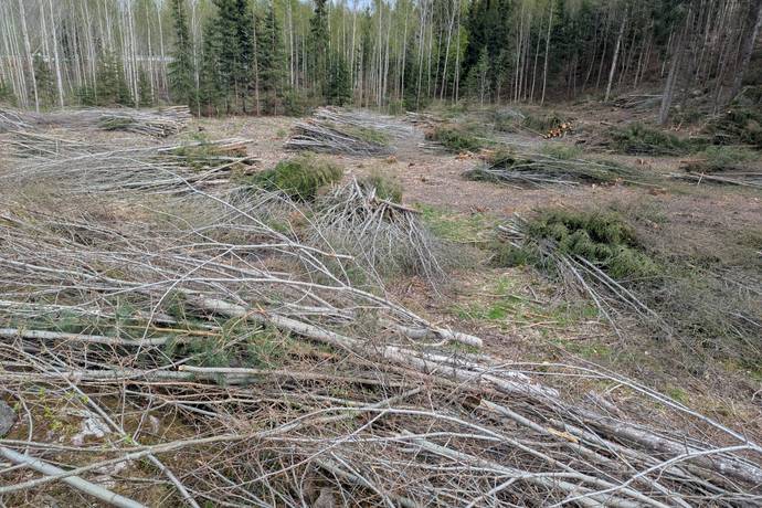 tomt på Hargebadsvägen / Nyäng Hammar, Askersunds kommun - bild 2