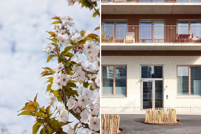 3 rum Lägenhet på Ångfärjekajen 12 Varvsstaden Malmö kommun - bild 24