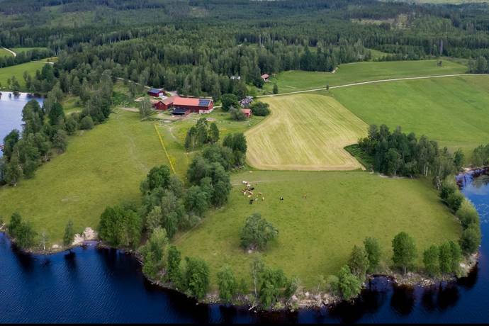 4 rum gård med jordbruk på Gammelbo 472, Rävnäs Ramsberg, Lindesbergs kommun - bild 1