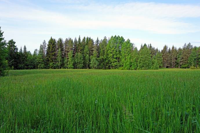 Gård med jordbruk på Remmen Nypåls 119 Remmen Härjedalens kommun - bild 52