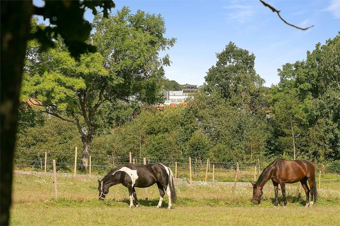 3 rum Lägenhet på Hästhagen 52 Angered Göteborgs kommun - bild 31