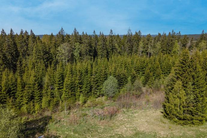 8 rum Gård med skogsbruk på Södra Backen 2 Ärtemark Bengtsfors kommun - bild 9