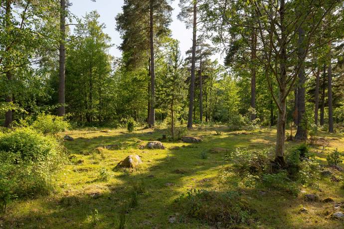 Gård utan jordbruk på Hasselö Vedhälla Hagaslätt  (del av fastigheten) Hasselö Västerviks kommun - bild 11