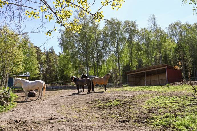 5 rum Gård utan jordbruk på Borrekärr Lökholmen 1 Lur Tanums kommun - bild 30