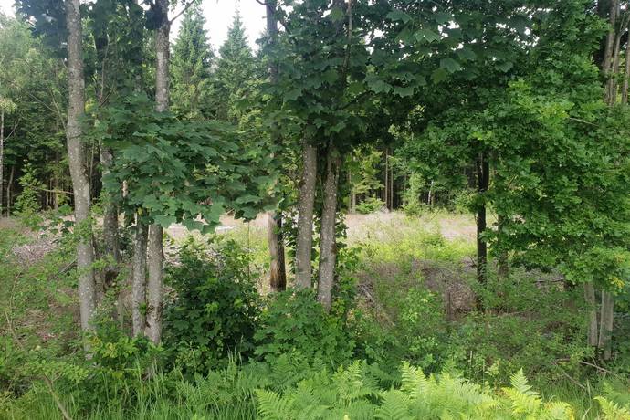 tomt på Örkelljunga bjärabygget 3:26 Örkelljunga, Örkelljunga kommun - bild 4
