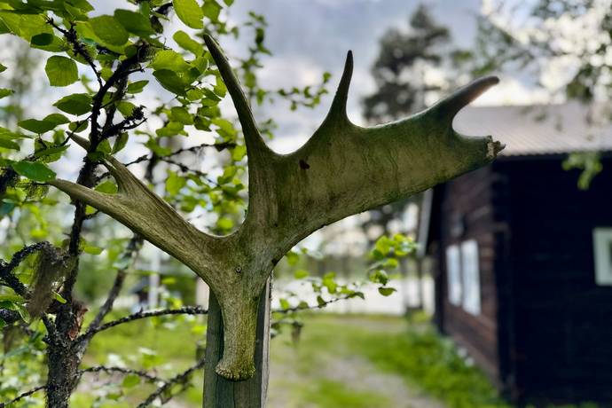 gård med skogsbruk på HÄRJEDALEN HÅN 9:13, 14:6, 14:7 Vemhån, Härjedalens kommun - bild 4