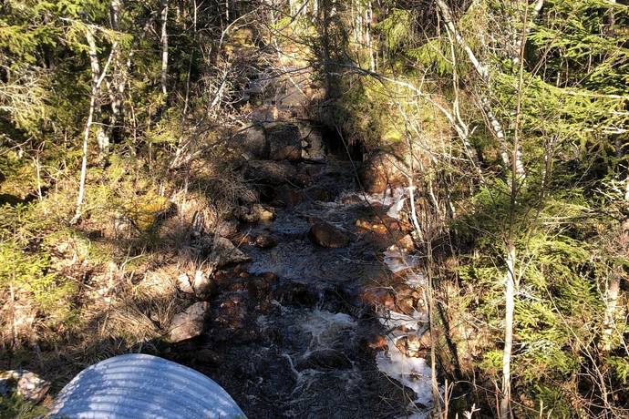 gård med skogsbruk på Ovanmejdan Björbo, Gagnefs kommun - bild 3