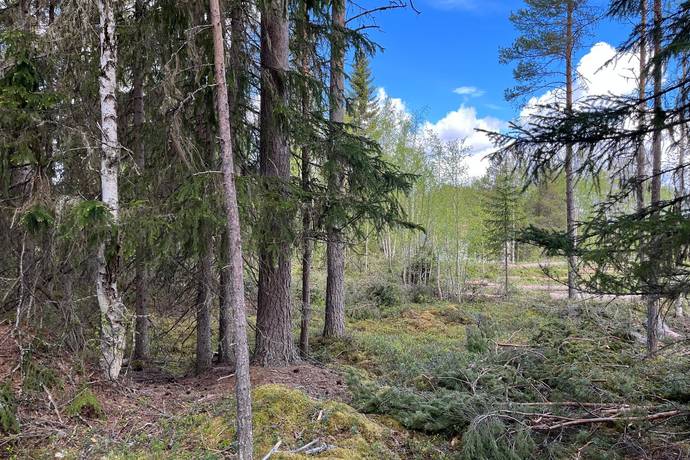 Tomt på Heavägen tomt 5:7 Särnaheden Älvdalens kommun - bild 8