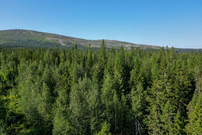 Mårdsundsbodarna, Åre kommun