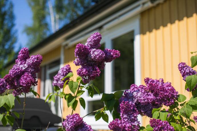 2 rum Villa på Fårskärsvägen 32 Gårdskär Älvkarleby kommun - bild 51