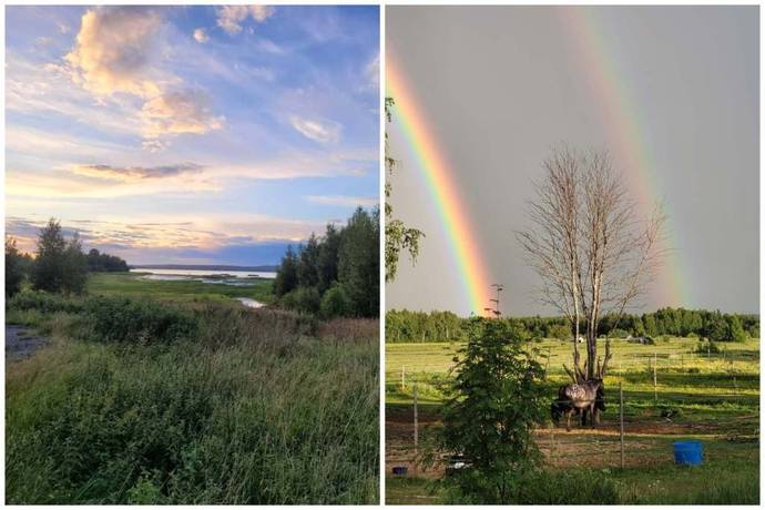 3 rum Villa på Markskogsvägen 129 Persön Luleå kommun - bild 57