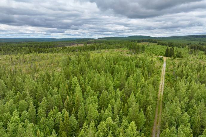 Björksele 1:44, Björksele, Lycksele kommun