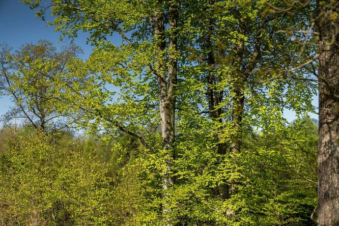 200 m² Gård utan jordbruk på Krokhusvägen 325 Ängelholm Ängelholms kommun - bild 76