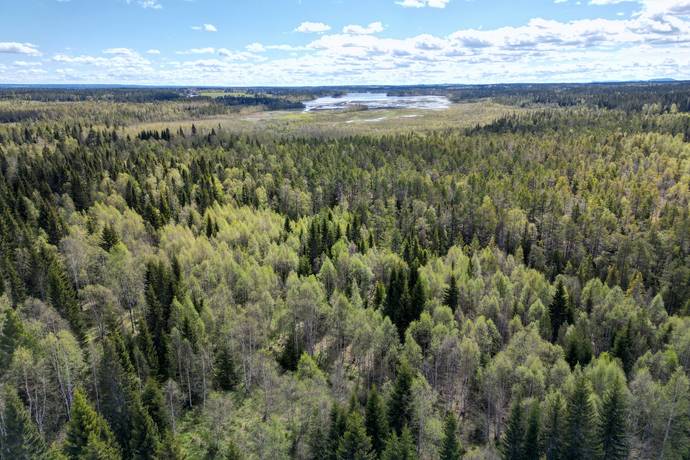Gård/skog på Åre Rörön 1:2, 2:2 samt 2:3 Åre kommun - bild 39