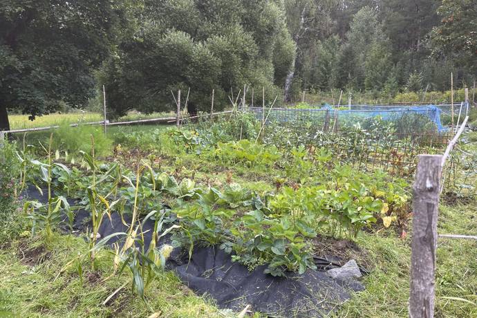 5 rum Gård/skog på Störsbäcksvägen 9 Tallåsen Ljusdals kommun - bild 67