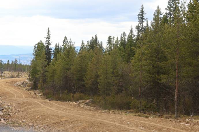 Gård med skogsbruk på HÄRJEDALEN HÅN 9:13, 14:6, 14:7 Vemhån Härjedalens kommun - bild 33