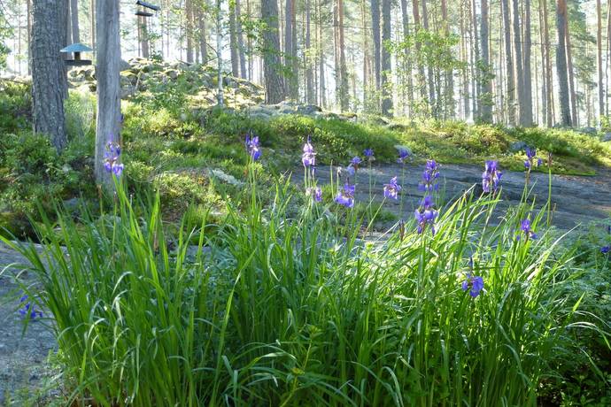 3 rum Fritidshus på Humlekil Holmåsen 14 Arvika Arvika kommun - bild 30