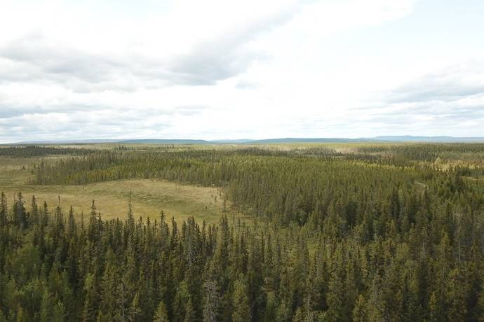 Gård med skogsbruk på HÄRJEDALEN HÅN 9:13, 14:6, 14:7 Vemhån Härjedalens kommun - bild 40
