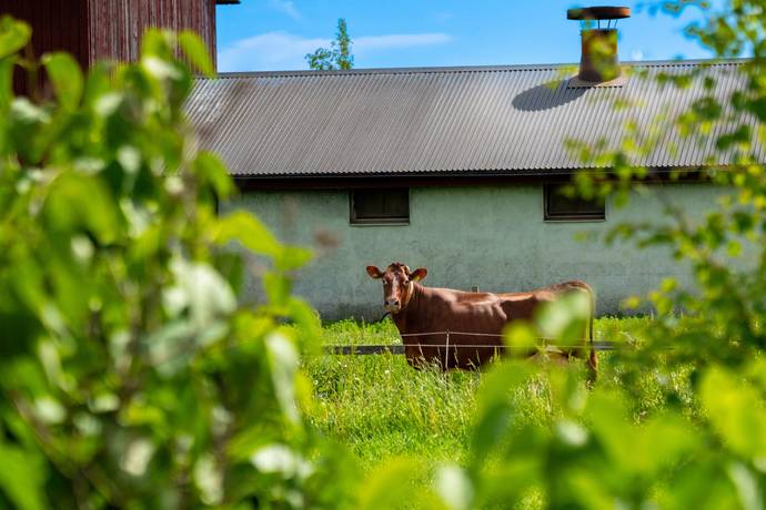 6 rum Villa på Stöcke 200 Stöcke Umeå kommun - bild 22