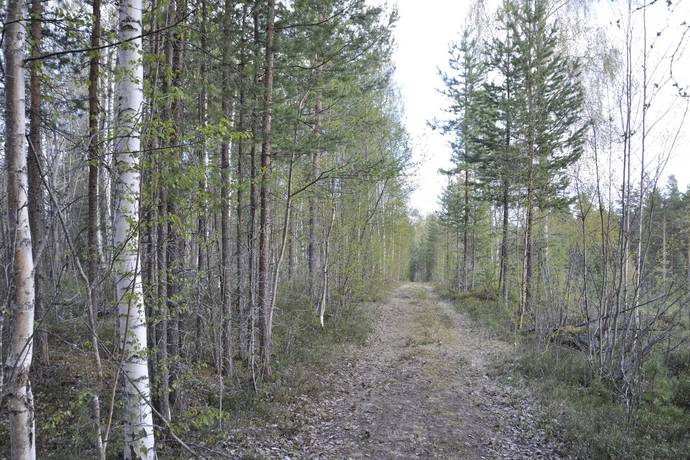 Gård utan jordbruk på Glissjöberg 435 Glissjöberg Härjedalens kommun - bild 56