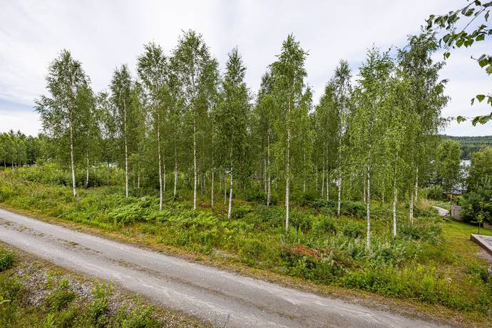 Björkenäs, Arvika kommun