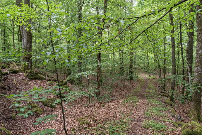 Tomt på Tormestorp Tormestorp Hässleholms kommun - bild 7