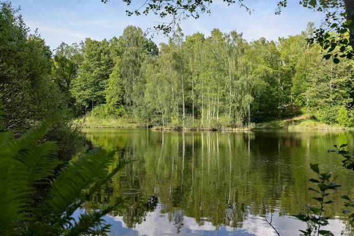 gård/skog på Unik skogsfastighet med vidsträckt utsikt över Hjälmsjön – en plats för drömmar och möjligheter! Örkelljunga, Örkelljunga kommun - bild 4