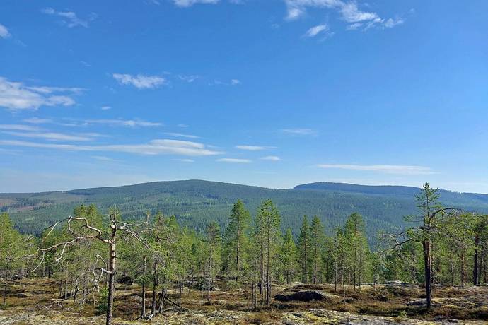 Gård/skog på Gällivare Skröven 14:1 Norrbotten Gällivare kommun - bild 3