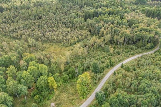 Hjortholmen 5184 och 5178, Vittsjö, Hässleholms kommun