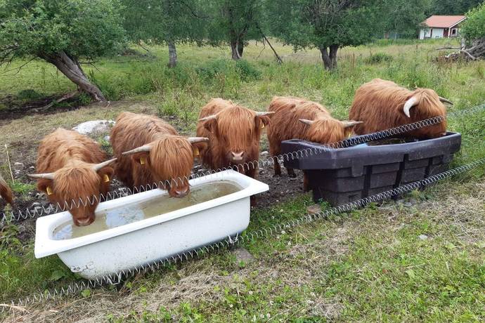4 rum Vinterbonat fritidshus på Brygghusvägen 1 Noraån Borlänge kommun - bild 43