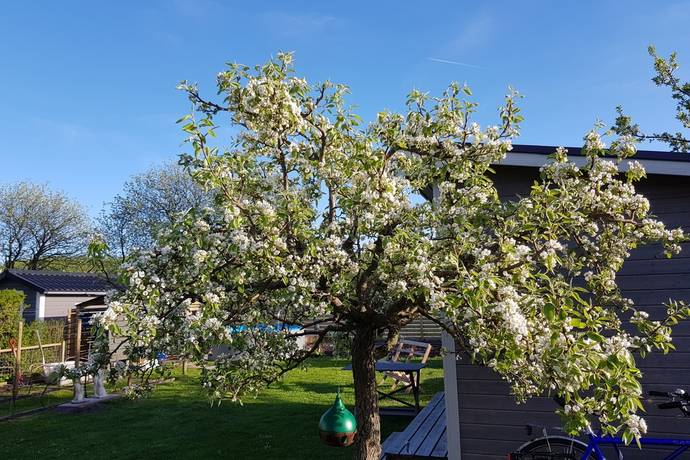2 rum Fritidshus på Linneuspromenaden 275 Elinelund Malmö kommun - bild 31