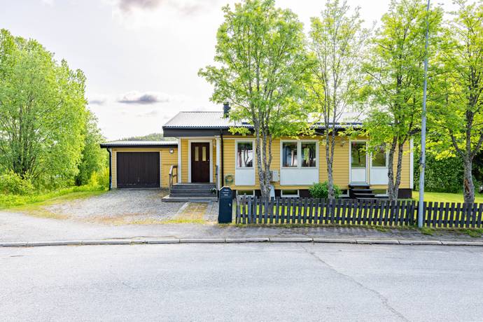 Dorotea, Dorotea kommun