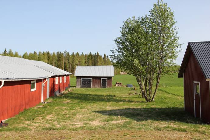 Gård/skog på Ale Ale Luleå kommun - bild 16