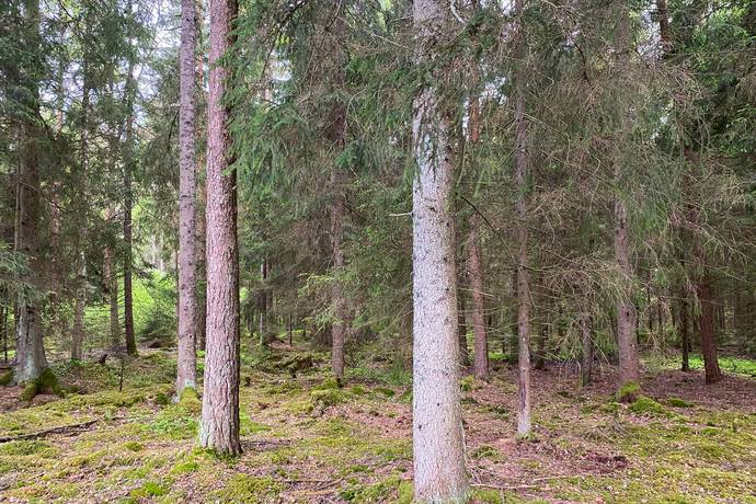 Gård med jordbruk på Dannäs Jonsbo 4 Dannäs ca 4 km från sjön Bolmen Värnamo kommun - bild 30