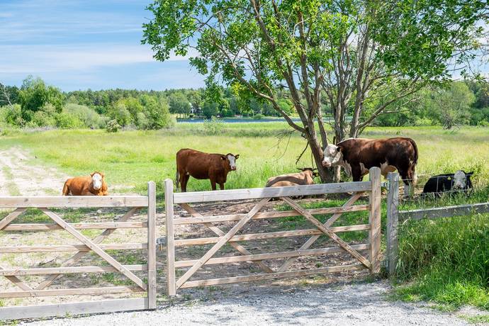 5 rum Par-/kedje-/radhus på Plantslingan 62 Länna Huddinge kommun - bild 61