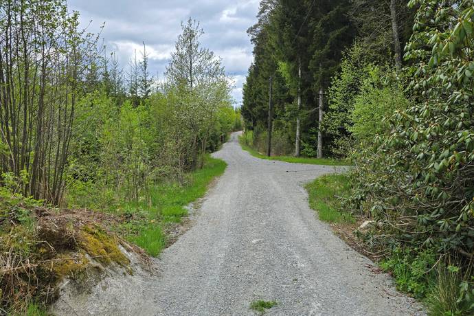 6 rum Vinterbonat fritidshus på Björkefallsvägen 506-80 Olofströms kommun - bild 7