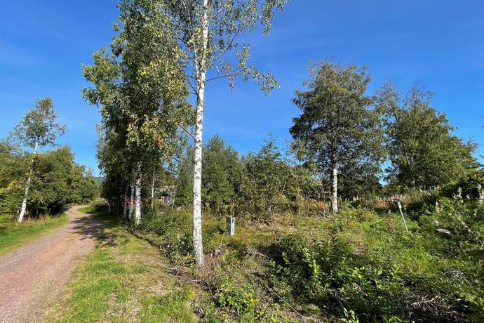 Evertsberg, Älvdalens kommun