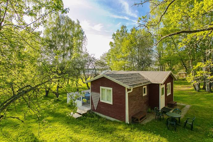 Djurens vänner lidköping hundar