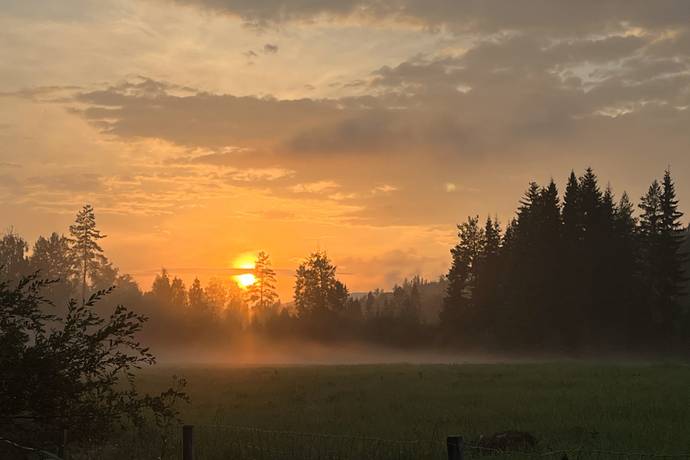5 rum Gård/skog på Störsbäcksvägen 9 Tallåsen Ljusdals kommun - bild 70