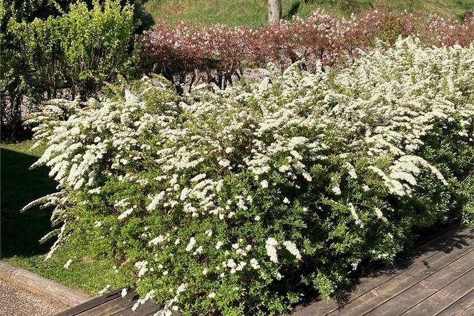 3 rum radhus på Brisgatan 76 Andersberg, Gävle kommun - bild 5