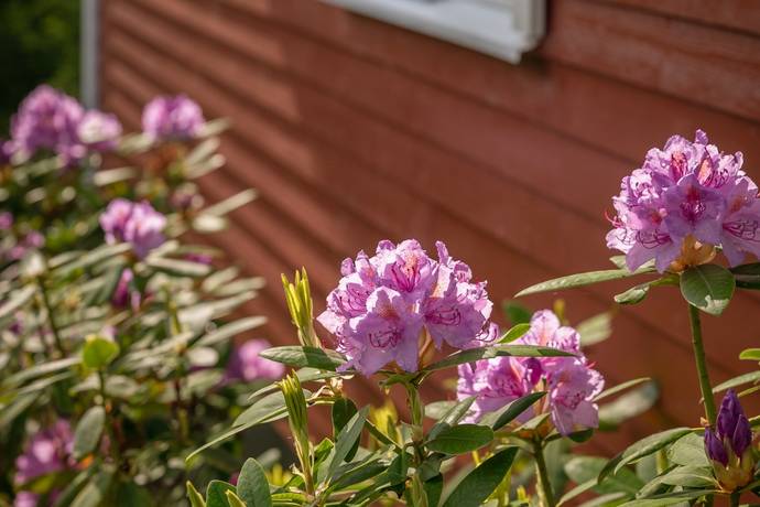 5 rum villa på Utterstigen 20 Molkom, Karlstads kommun - bild 3