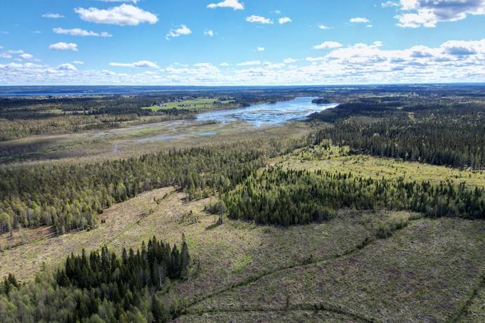 Gård/skog på Åre Rörön 1:2, 2:2 samt 2:3 Åre kommun - bild 37