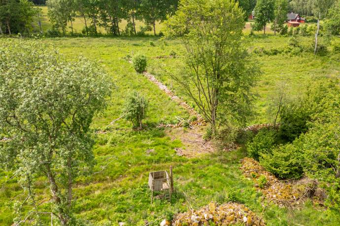 Tomt på Drömtomt med generösa 13 hektar – positivt förhandsbesked, jakträtt och vacker natur nära Billinge! Billinge Eslövs kommun - bild 8