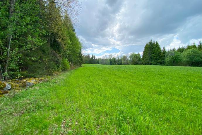 Gård med jordbruk på Dannäs Jonsbo 4 Dannäs ca 4 km från sjön Bolmen Värnamo kommun - bild 26
