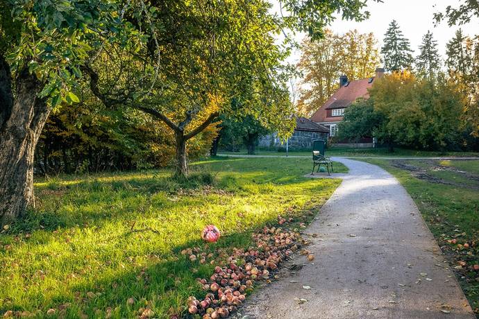 2 rum Lägenhet på Fyrisvallsgatan 2D Seminariet i Luthagen Uppsala kommun - bild 19