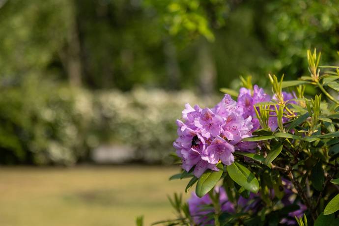 7 rum Villa på Älvdansgatan 14 Ludvigsdal Västerviks kommun - bild 49