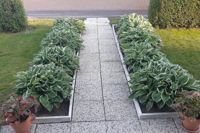 5 rum Villa på Kornvägen 13 Långsele Sollefteå kommun - bild 41