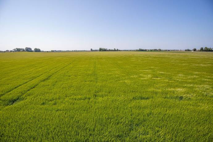 Vellinge, Vellinge kommun